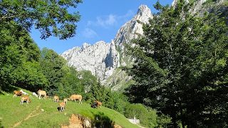 Asturien Foto 17
