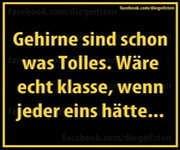 Spruch 20014