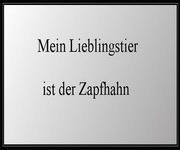 Spruch 20019