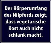 Spruch 20022