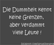Spruch 40008