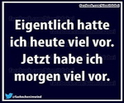 Spruch 40011