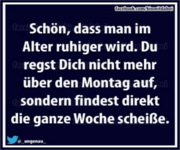 Spruch 40019