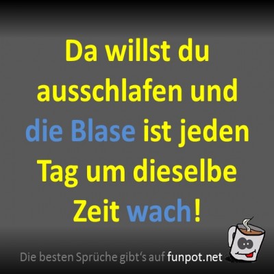 Spruch 60026