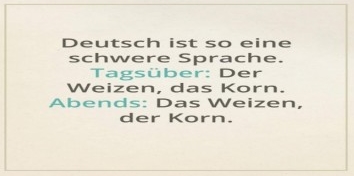 Spruch 60028