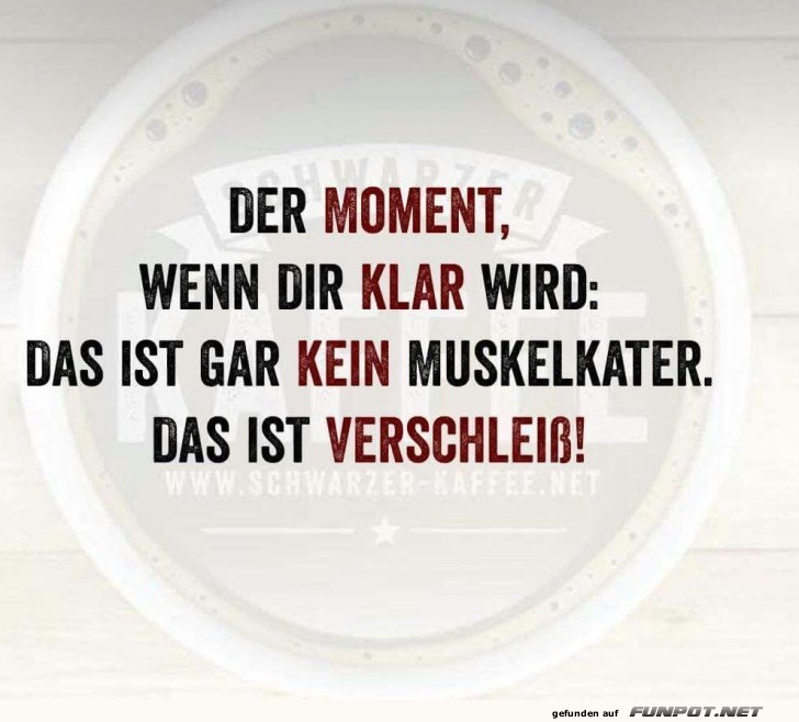 Spruch 60029